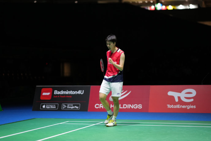 无疑展示了 无疑展示了