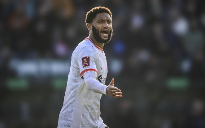 迷都不愿看 迷都不愿看