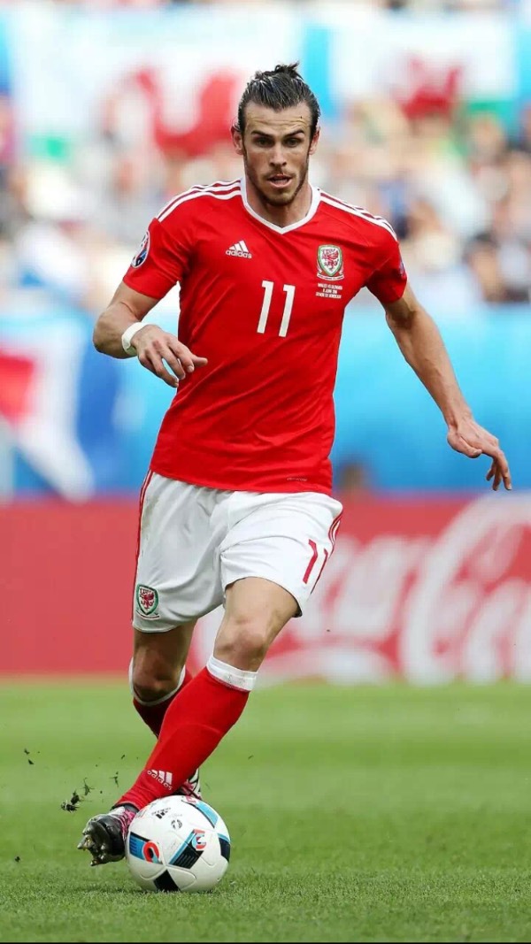 拉菲尼亚的 拉菲尼亚的