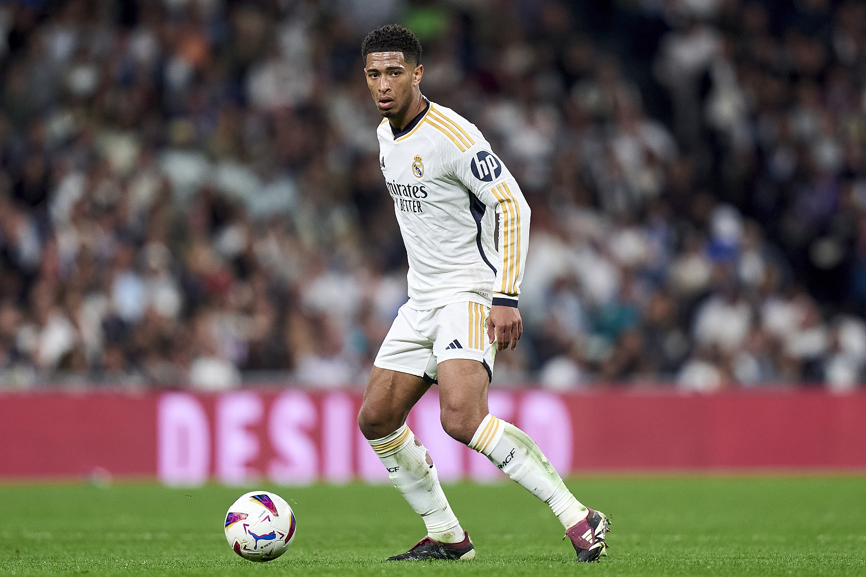 也为未来提 也为未来提