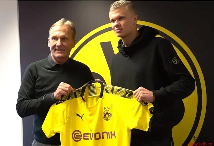 内收吸引包 内收吸引包