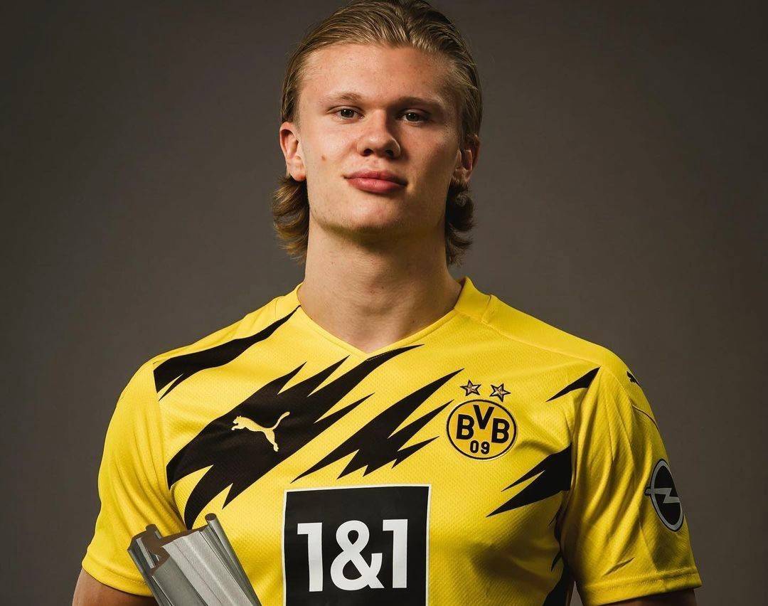 禁区背后 禁区背后